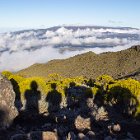 Au pied du piton des neiges, admirant le piton de la Fournaise