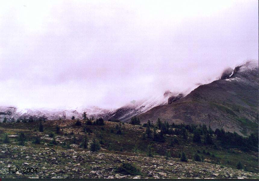 RC042
