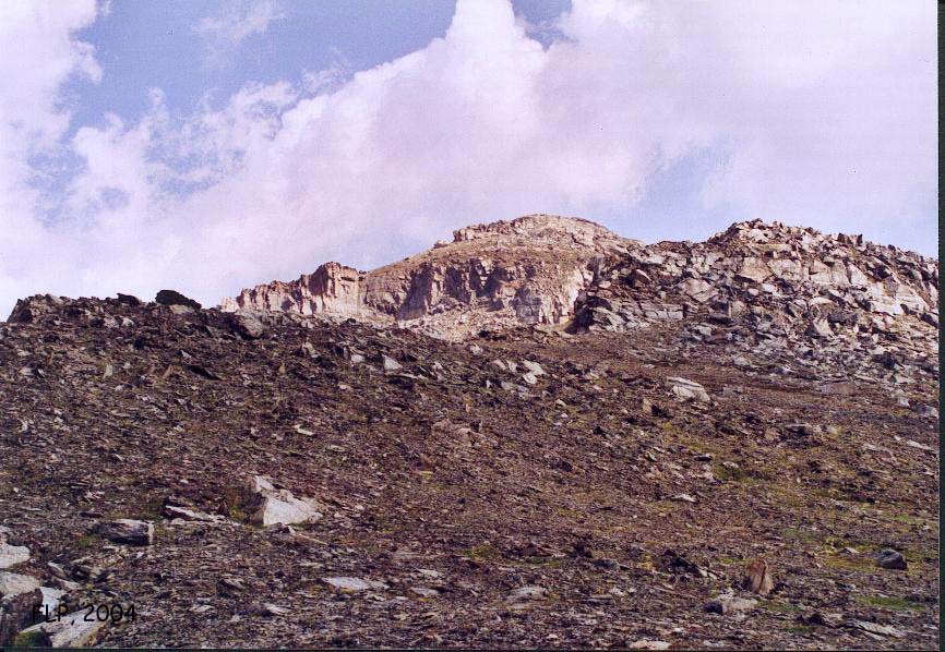 RC111