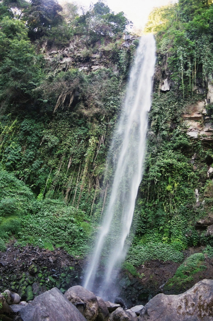 03-03