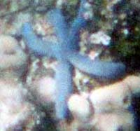 E-08
