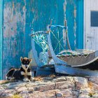 Moi, je garde mon traineau pour cet hiver