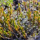 Avant de reprendre la mer, petite rando