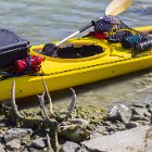 Accueil sympa pour la pause déjeuner, au fond du fjord Saputk