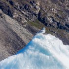 On poursuit notre route à travers la glace