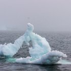 Petit iceberg bouge, craque...