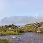 Balade aux alentours du camp