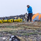 Impossible de ne pas craquer... mais il faut le ramener à sa mère !
