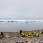 La brume s'est levée, on va pourvoir poursuivre notre périple