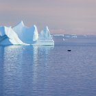 Elle est un peu en retard, 20h45 ! Et passe un peu loin... mais quand même !