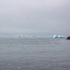 Un peu de brouillard au réveil, normal... on ne change pas de camp !