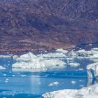 ...puis la Louise et le bateau polonais qui navique dans le coin