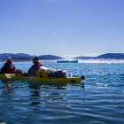 Et c'est partie pour la queue de la baleine