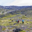 A travers la forêt, trouvera-t-on un passage ?