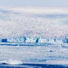 et le premier frond glaciaire