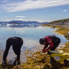 Les moules sont énormes