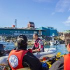 Puis on croise Quirec, mais sans sa poule Monique... ( page facebook )