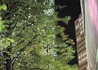 IMG 1763