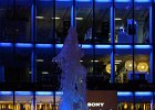 IMG 1770